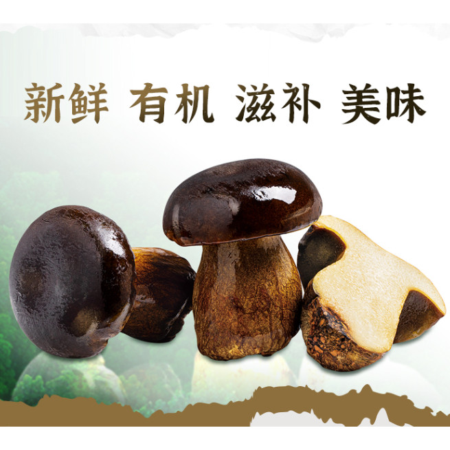 西双版纳黑牛肝菌2斤A级散装