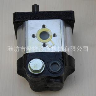 廠家現(xiàn)貨供應恒流泵系列齒輪泵微型齒輪泵多種液壓齒輪油泵