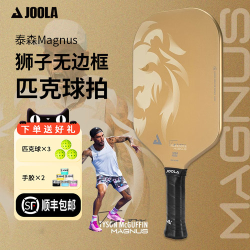 JOOLA/匹克球拍板专业球拍碳纤维