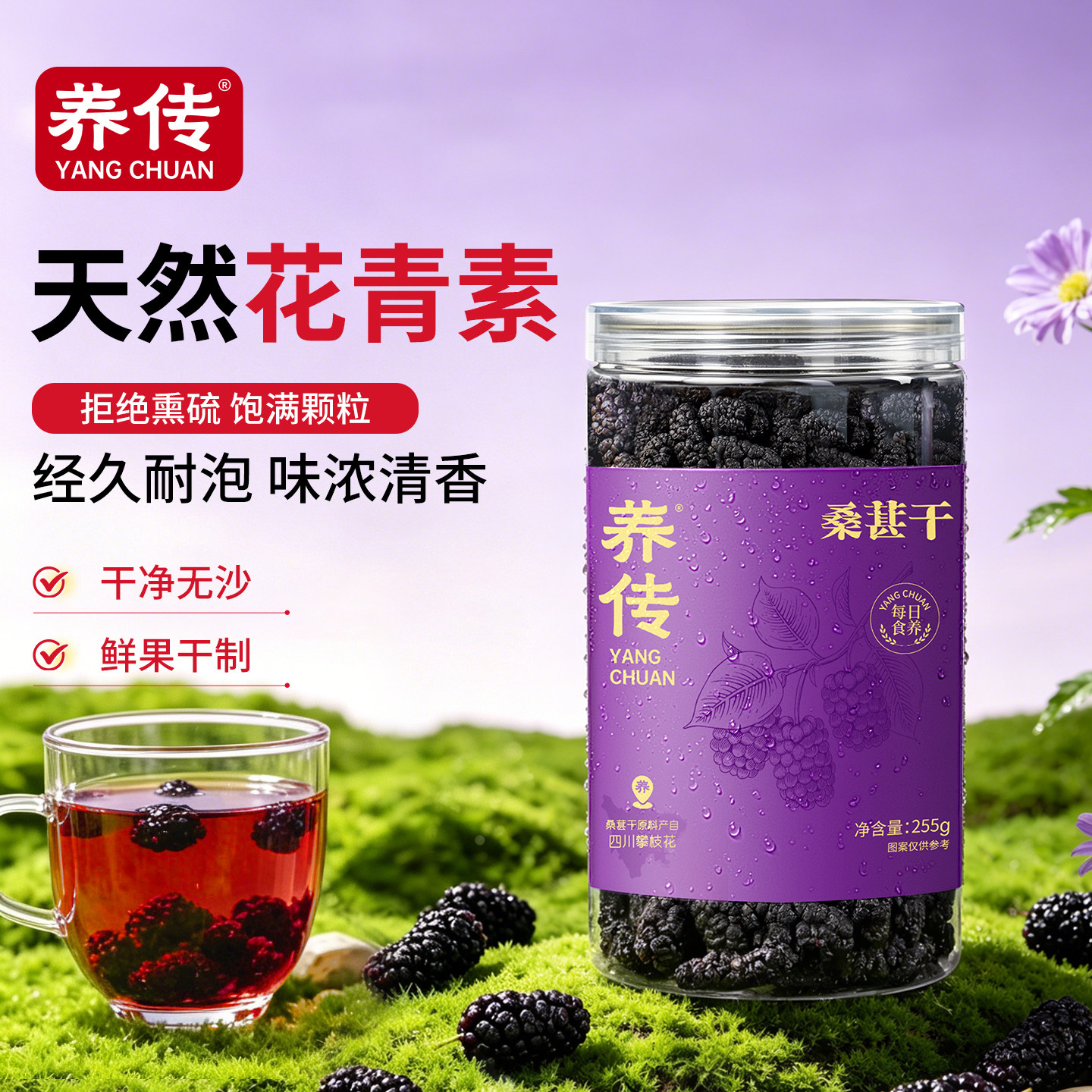 养传桑葚干精选攀枝花大颗黑桑葚干免洗即食大果泡水泡酒泡茶255g