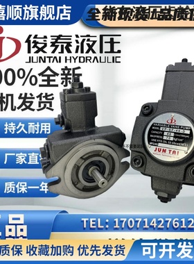 俊泰JUNLINGPAI油泵JUNTA叶片泵VP-SF-12/15/20/30/40-D VP-20D