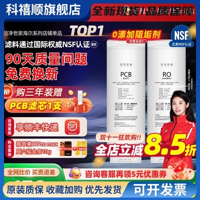 洁净世家适用海尔净水器滤芯HRO10H99/10H11/H66/8H11反渗膜PCB芯