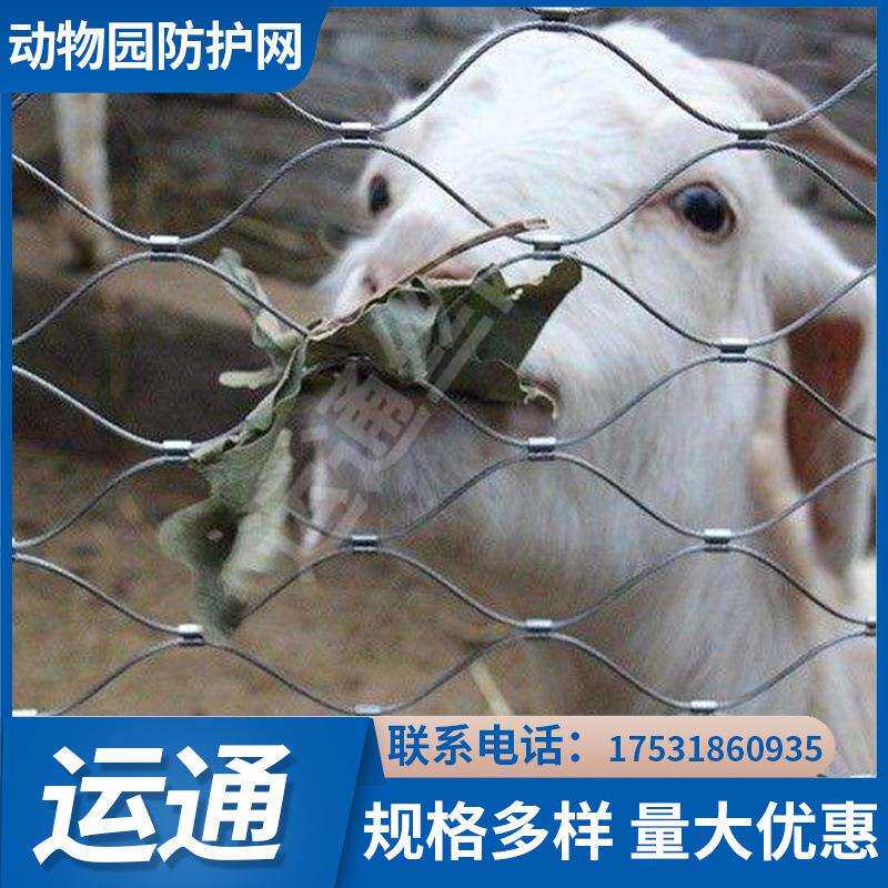 【钢丝绳网卡扣】A304安全防护网A班玛304绳网A卡扣不锈钢绳网厂