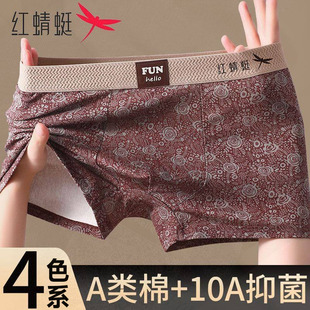 内裤 棉质四角短裤 男款 2026新款 10A级抗菌平角裤 红蜻蜓a类纯棉男士