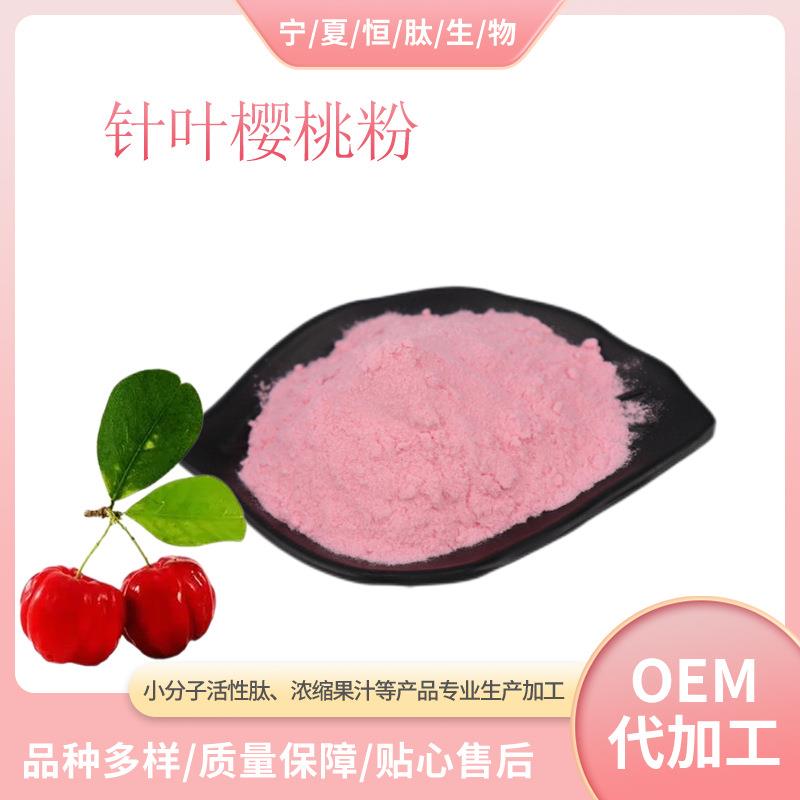 针叶樱桃粉99% 1㎏维C17% SC厂家果蔬粉量大优惠全水溶