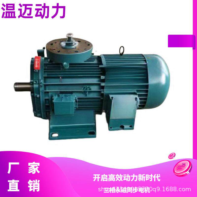 温迈动力永磁电机90L机座号 风冷免维护 挤出机设备专用电机