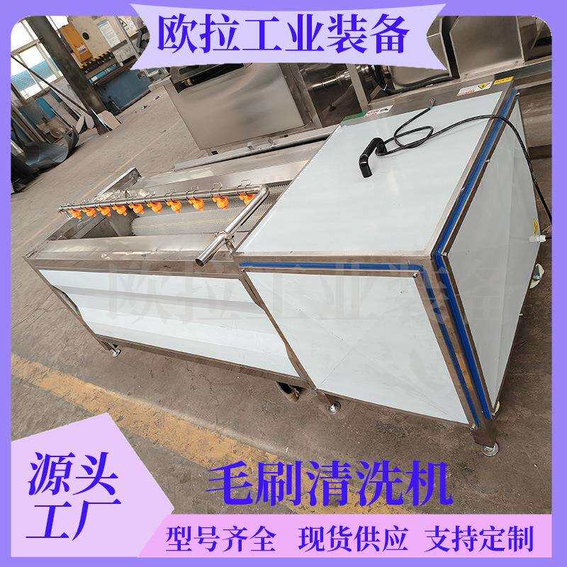 根茎类毛辊清洗设备 大产量高速花生清洗机 毛刷地瓜去皮清洗机
