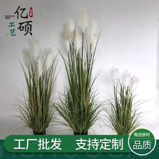 仿真狗尾巴草芦苇草绿植盆载仿真洋葱草北欧仿真植物家居装饰摆件
