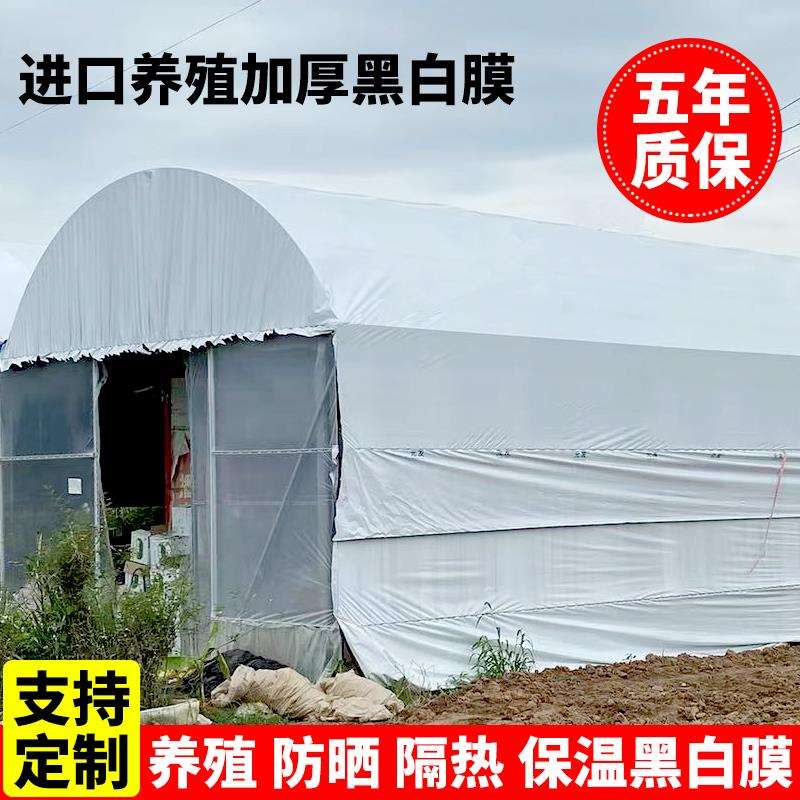 黑白膜大棚遮光防渗进口养殖隔热防晒反光膜抗老化加厚塑料膜鸡鸭