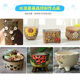 水流星陶艺迷你塑料印工具件儿童印模具多肉盆朵