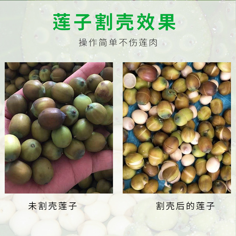 电动嫩莲子去壳剥壳切壳割壳脱壳莲蓬脱粒老莲子钻心磨皮筛选