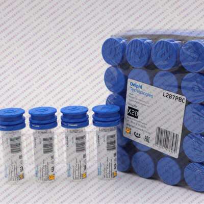 德尔福L287PBC油嘴使用泵喷嘴BEBE4D18001 BEBE4D27001 3889619
