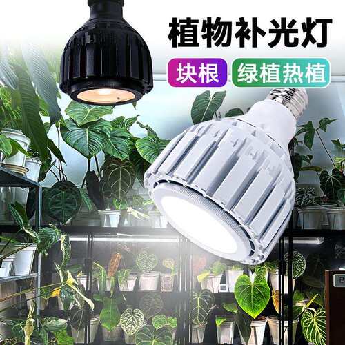 植物光灯E7聚光灯泡家用龙舌兰块根绿植全光LED植物生长灯