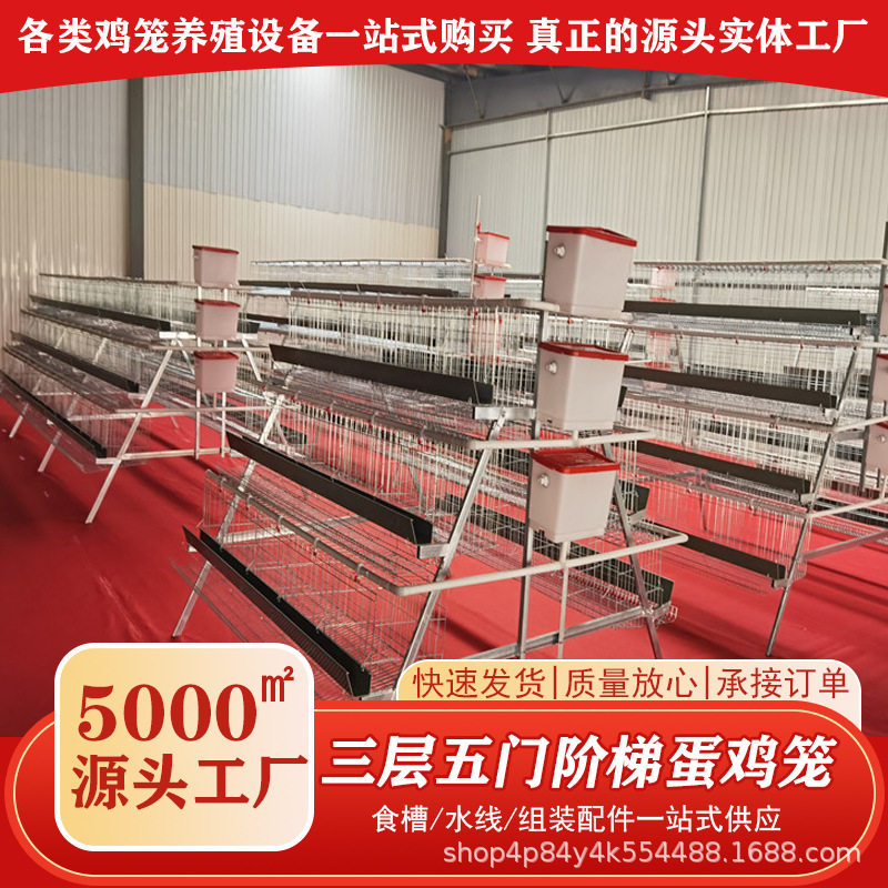 养殖场专用蛋鸡笼设备冷热镀锌多层阶梯式笼养鸡设备育雏笼养殖笼