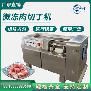 微冻鸡胸脯肉脯切丁机冷冻猪肉羊肉切丁机一机多用肉制品切粒机