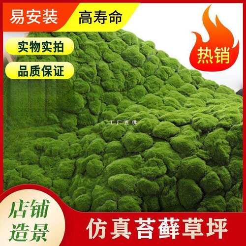 绿植墙 青苔藓草皮 人造苔草草坪 盆景草 场景橱窗假拍照道具