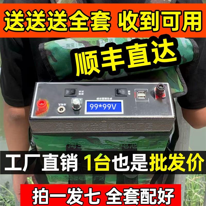 大功率12V锂电池逆变一体机48V三元轻便逆变大容量非晶车载器电瓶