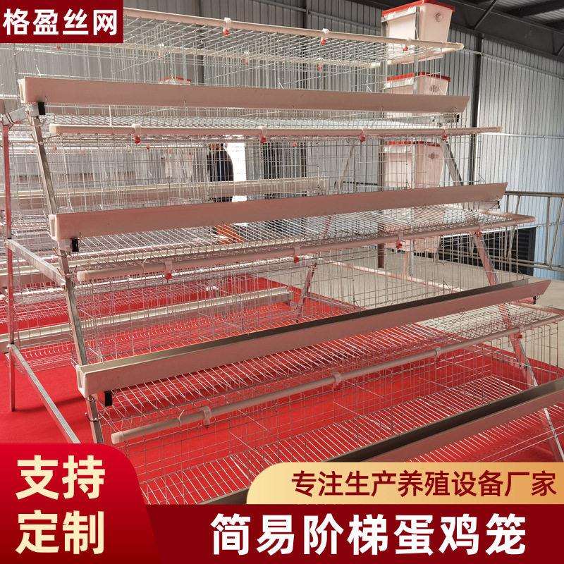 阶梯蛋鸡笼养殖场用四层四门热镀锌蛋鸡笼设备鸡舍自动滚蛋鸡笼