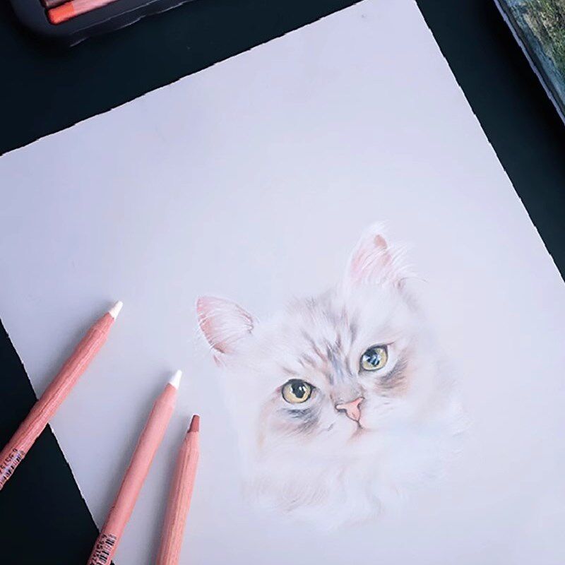 彩色装白色黑色棕色咖色像彩炭素描美术生绘画铅笔手绘笔