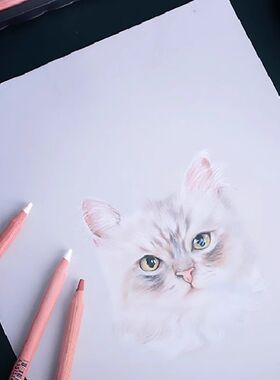 彩色装白色黑色棕色咖色像彩炭素描美术生绘画铅笔手绘笔