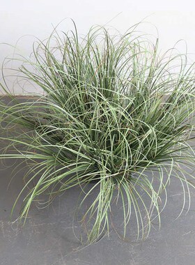 仿真草团草丛卢苇草菖蒲草灌木丛线条型绿植装饰仿真地被水草