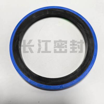 CFW油封SIMKO300组合油封SK30075-62-6SK20-32146140-119-8.1