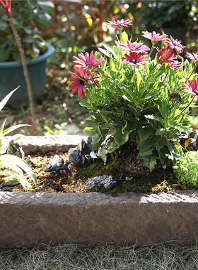 石槽器土培盆茶室民宿水培缸园阳台装饰庭院创意槽