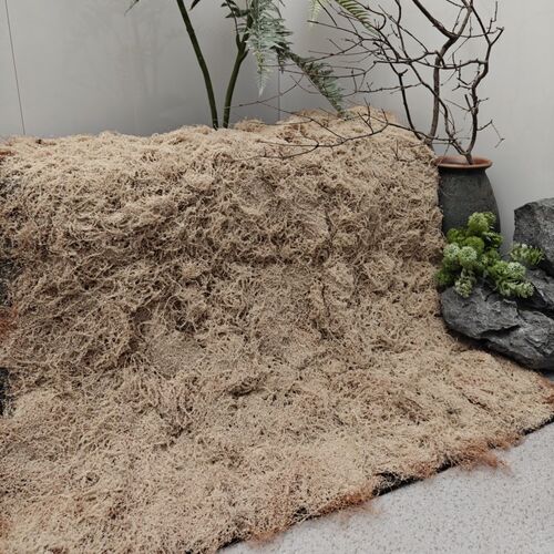 仿真草坪青苔草皮植绒椰丝苔藓绿植造景装饰橱地面盆景展示