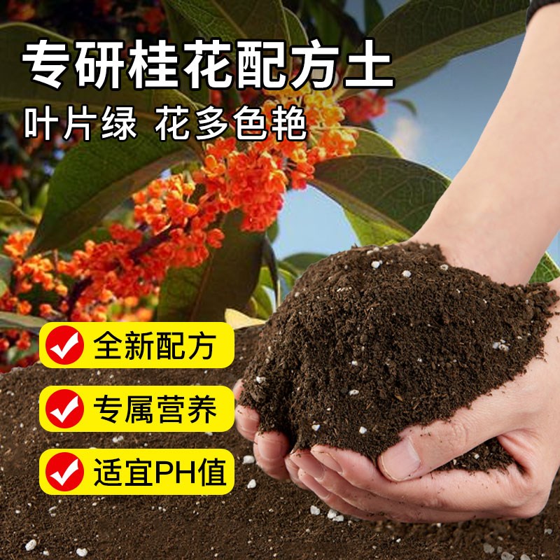 养桂花专用土营养土盆栽土桂花树专用土肥料专用肥土壤泥土种植土