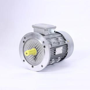 长轴电机三相异步电动机高低温380V三相马达转机