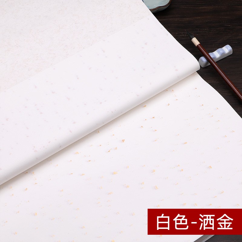 洒金描龙宣纸 半生半熟生宣纸毛笔字书法创作专用纸作品纸