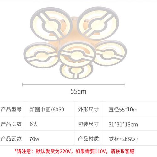 跨境110V客厅吸顶灯酒店民宿卧室灯别墅圆中圆创意灯具现代简约