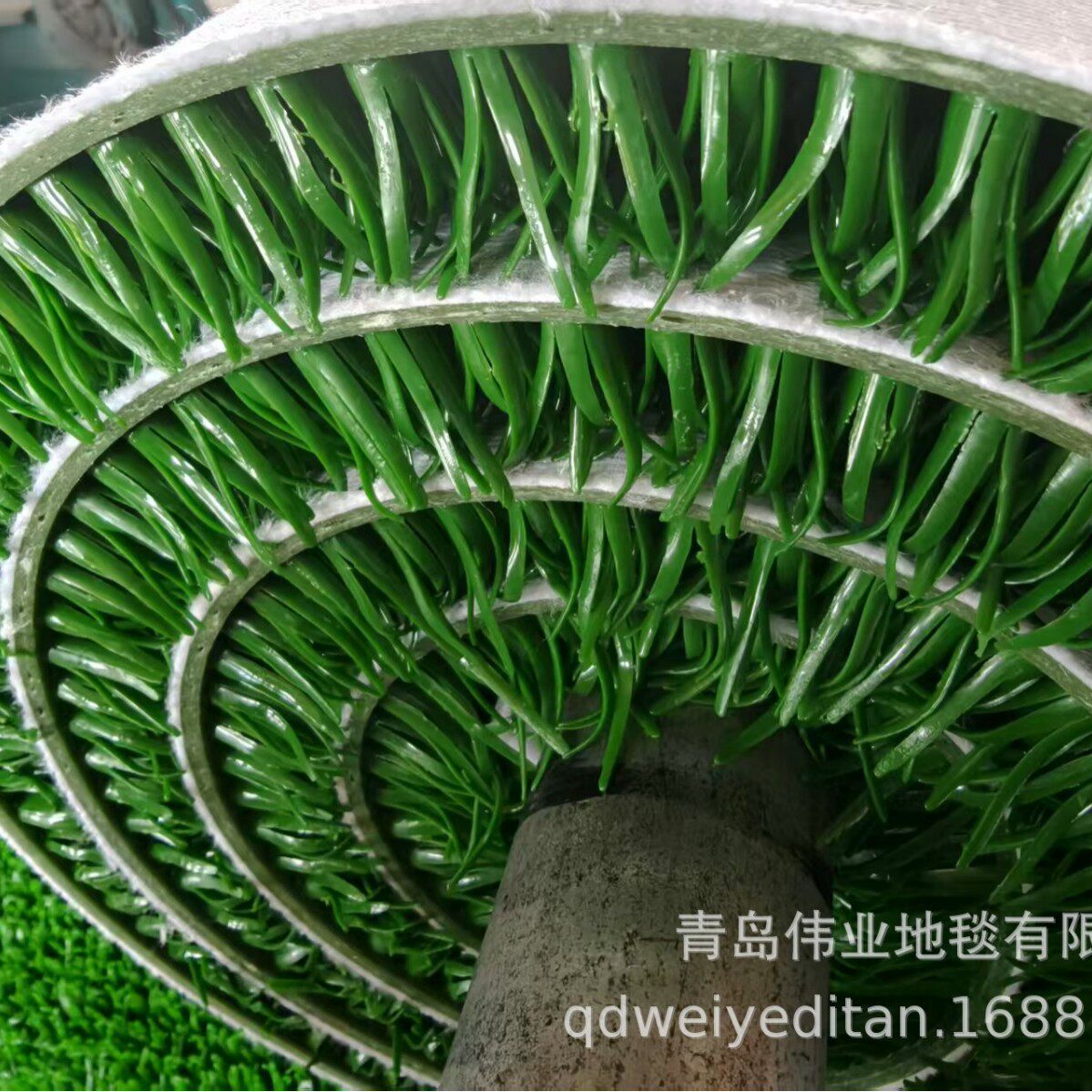 水上淘金吸金草加厚防滑衬底耐磨耐腐蚀金毡叶片挺实抗老化淘金草