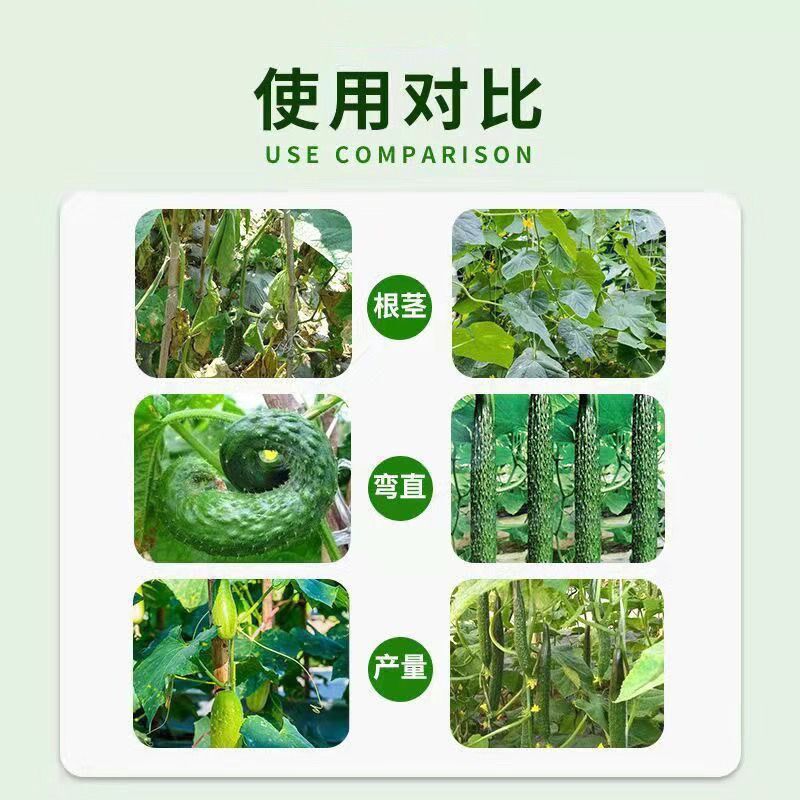 佳施邦黄瓜肥海藻酸蛋白水溶肥黄瓜生根壮苗翠嫩桶