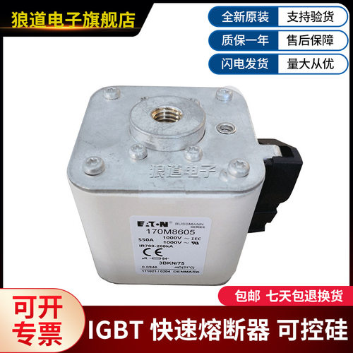 170M8604 170M8605 170M8609 170M8610出售进口伊顿熔断器