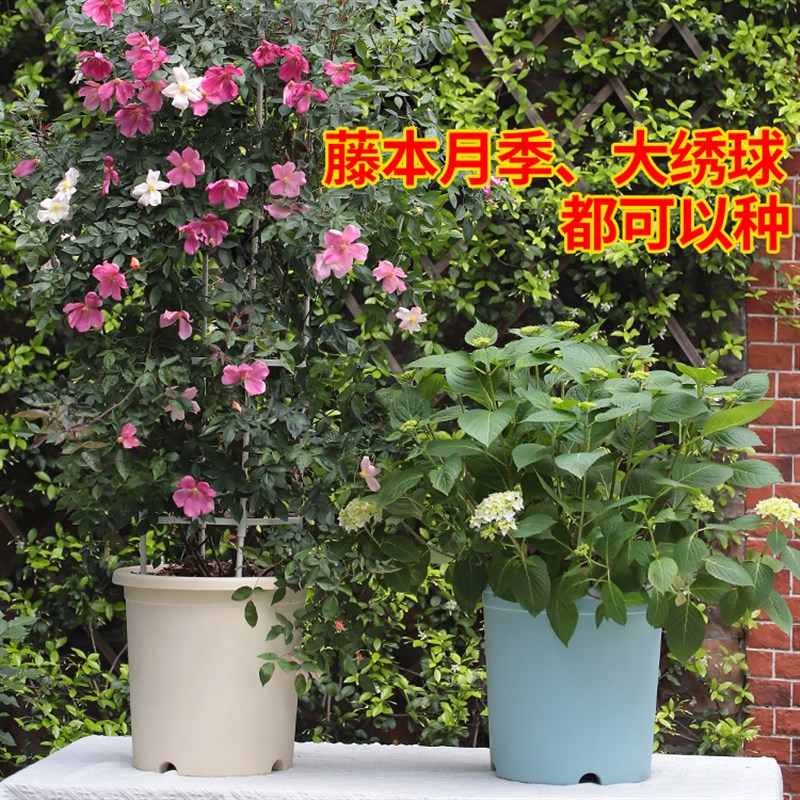 特大号超大3/5/7/10加仑盆deepot花盆塑料绣球月季控根爱美青山盆