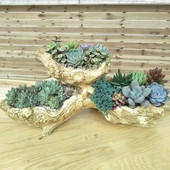 树脂仿木头大号多肉盆木桩根雕绿植拼盘摆饰