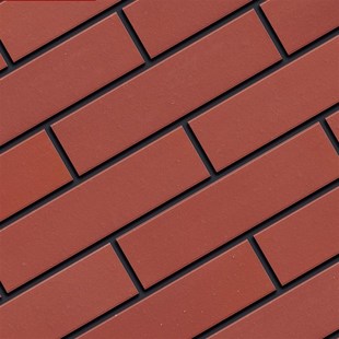 蒸压灰砂砖页岩烧结砖 U 多孔砖检验报告 检测砖