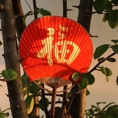 新娘接亲中式扇子福婚圆形红色结婚婚礼伴娘汉服拍照道具喜扇明制