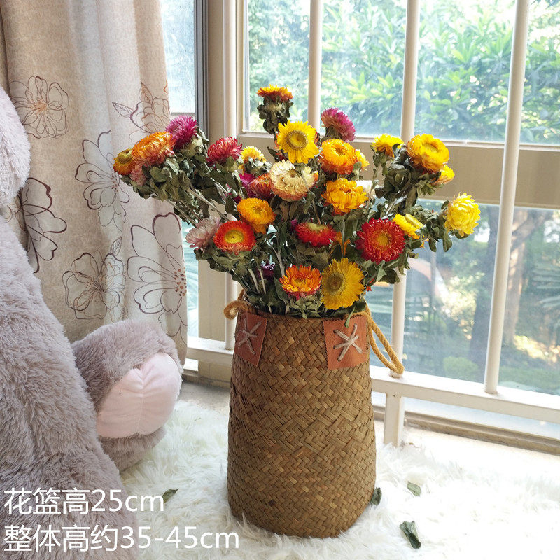 芈阳 云南天然雏菊干七彩菊文艺小新客厅家居装饰拍摄 插瓶