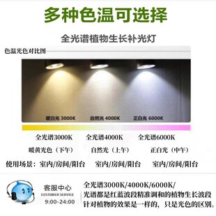 全光谱仿太阳光室内光合作用卉绿植补光生长灯