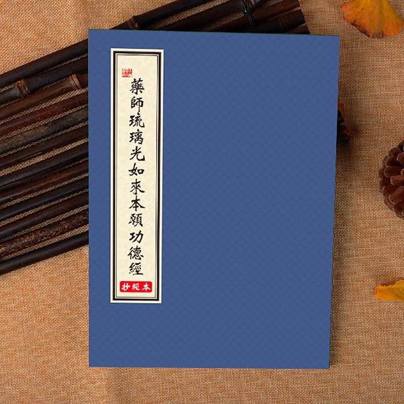 药师药师琉璃光如来功德愿经硬笔手抄小楷静心抄经钢笔抄