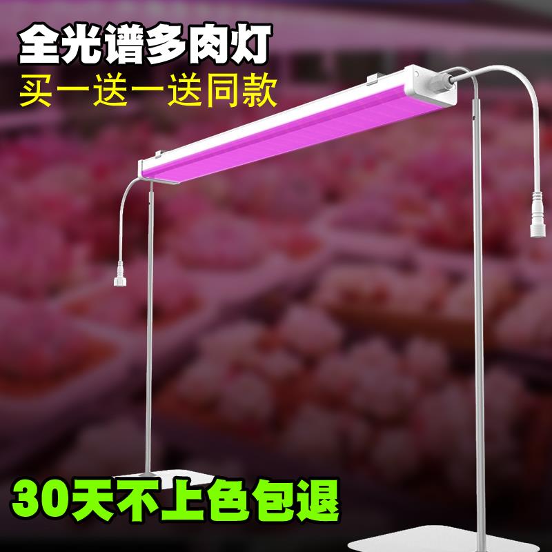 多肉补光灯 上色全光谱补光灯防徒长仿太阳光卉育苗