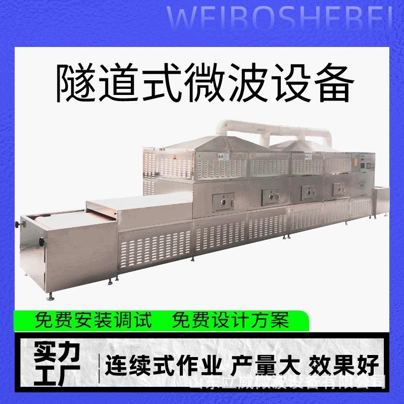 白果干燥灭菌机流水式微波坚果烘焙熟化设备源头生产厂家