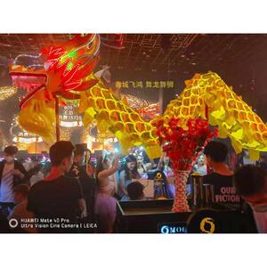 号道具铜线龙烫金灯光龙龙灯光龙龙皮牛津布亮舞龙
