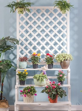 阶梯式实木架白色蓝色吊兰架D多层阳台架落地绿萝爬藤架防腐