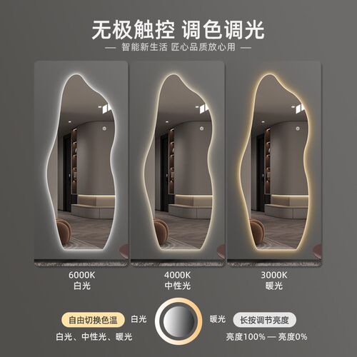 智能全身镜壁挂异形带灯挂墙式穿衣镜衣帽间入户玄关试衣镜子