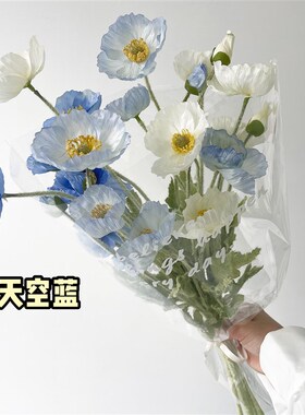 仿真 虞美 罂粟 毕业小束 手捧 春日野餐拍摄