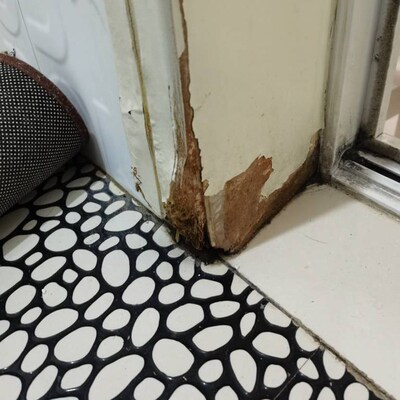 门框底部受潮破损 门脚泡水发霉腐烂 强力修补