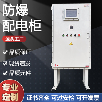 防爆配电箱控制柜电控箱柜仪表检修箱按钮箱变频器柜触摸屏防爆柜